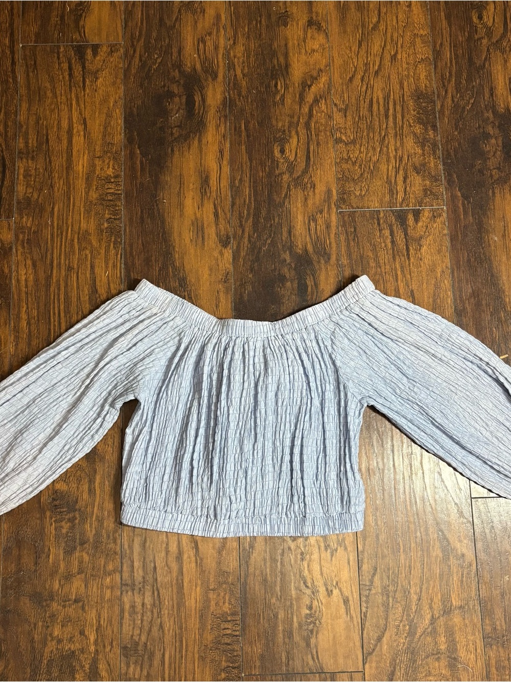 Women’s Dusty Blue Off-Shoulder Smocked Long Sleeved Crop Top Size XL Tie Back